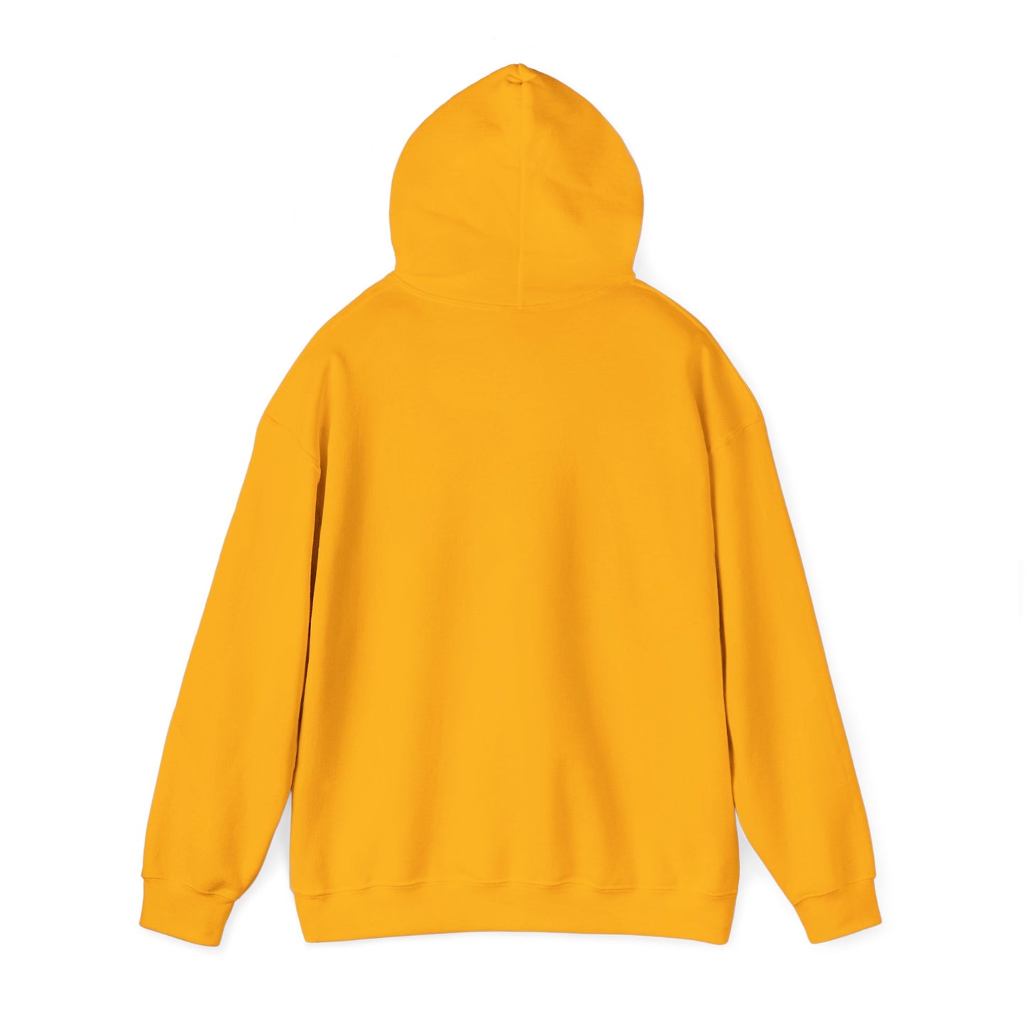 BELIEVE DAT HOODIE