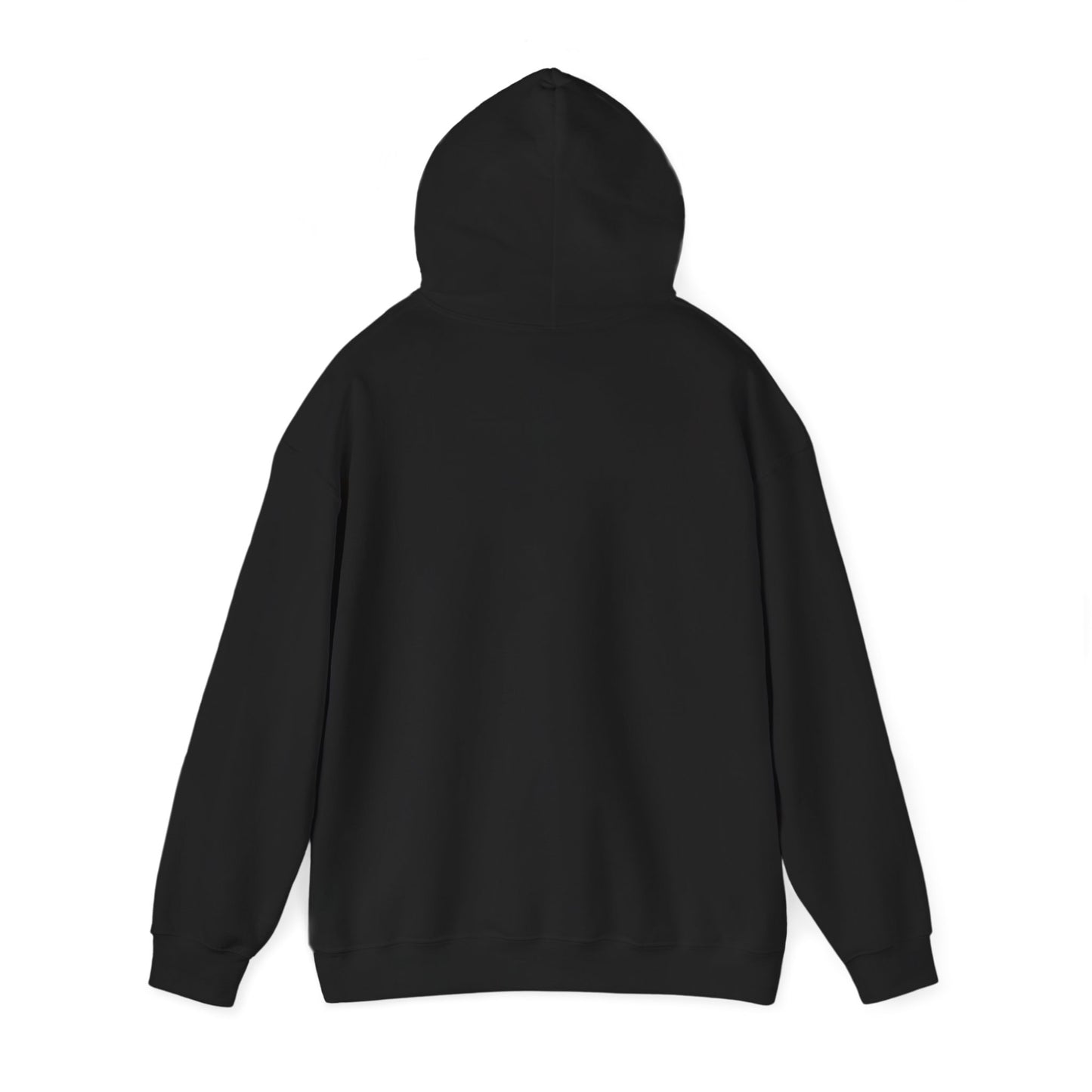 BELIEVE DAT HOODIE