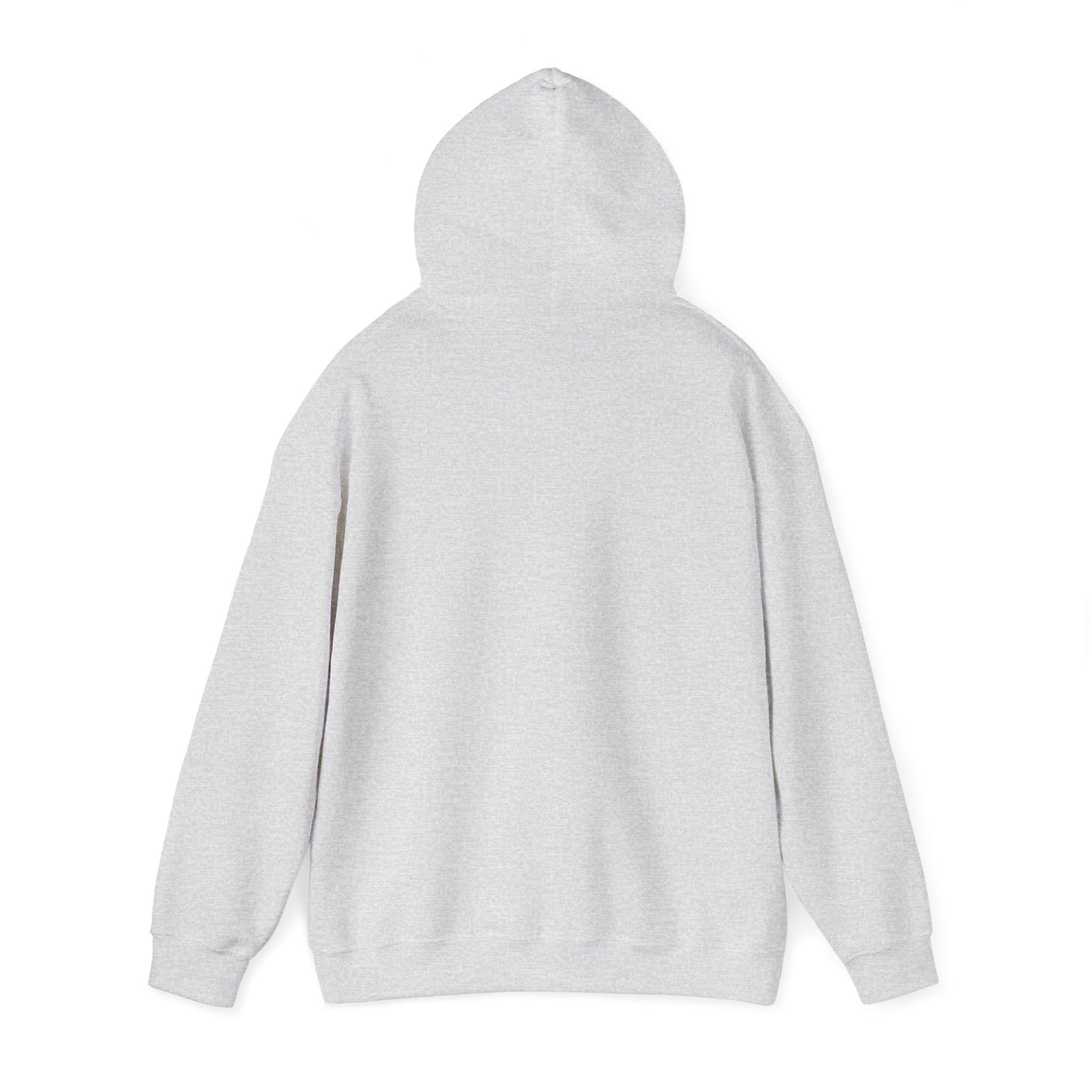 BELIEVE DAT HOODIE
