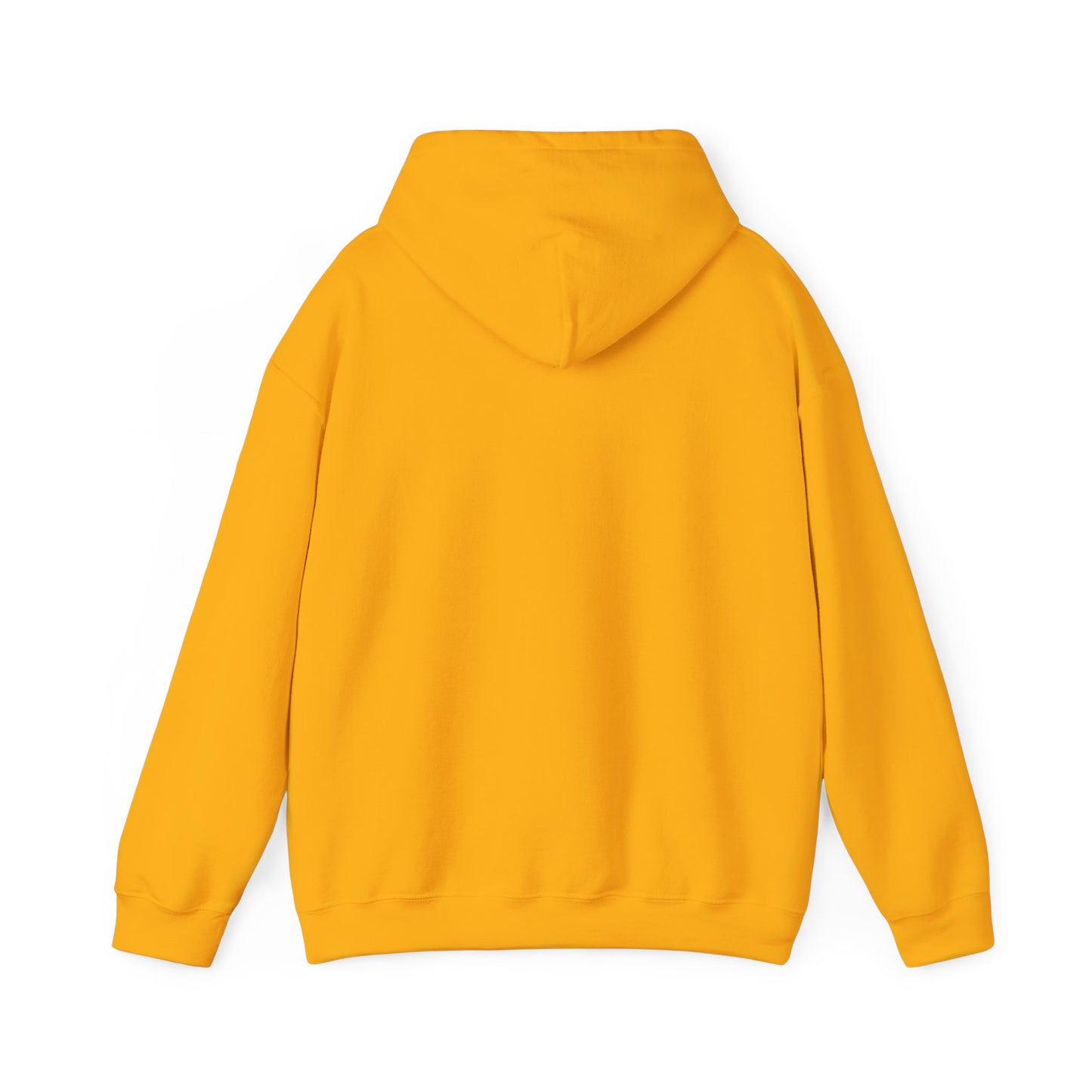 BELIEVE DAT HOODIE