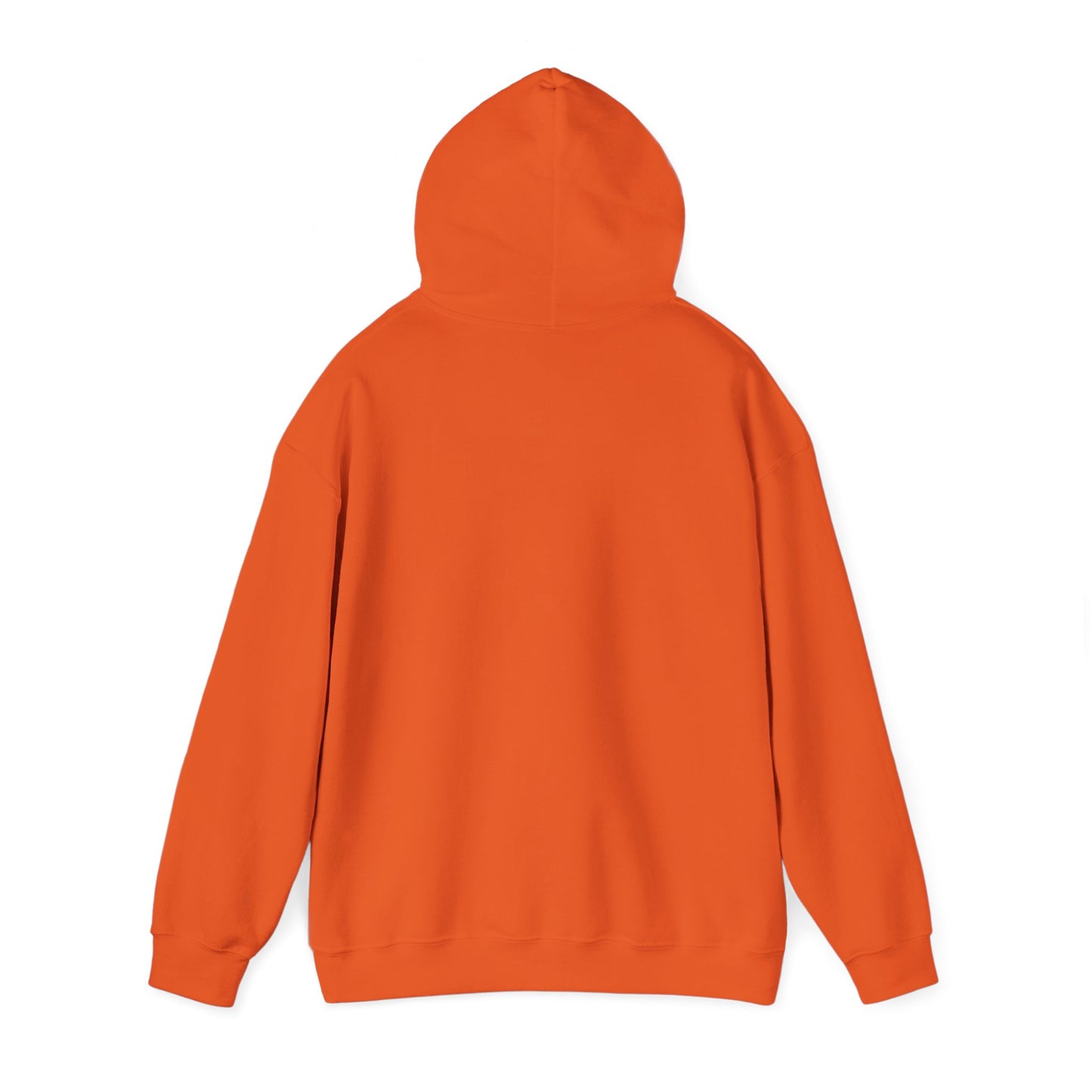 BELIEVE DAT HOODIE