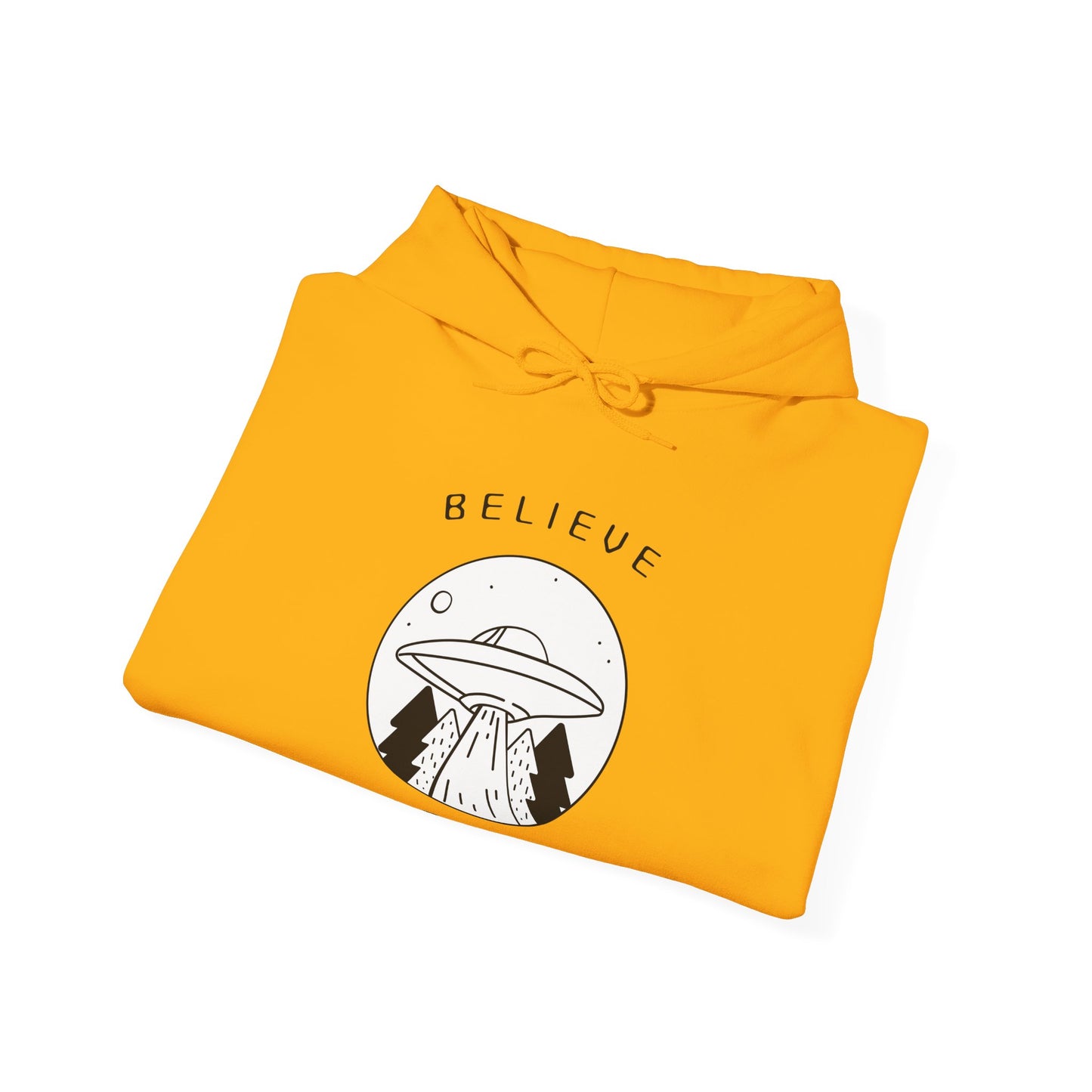 BELIEVE DAT HOODIE